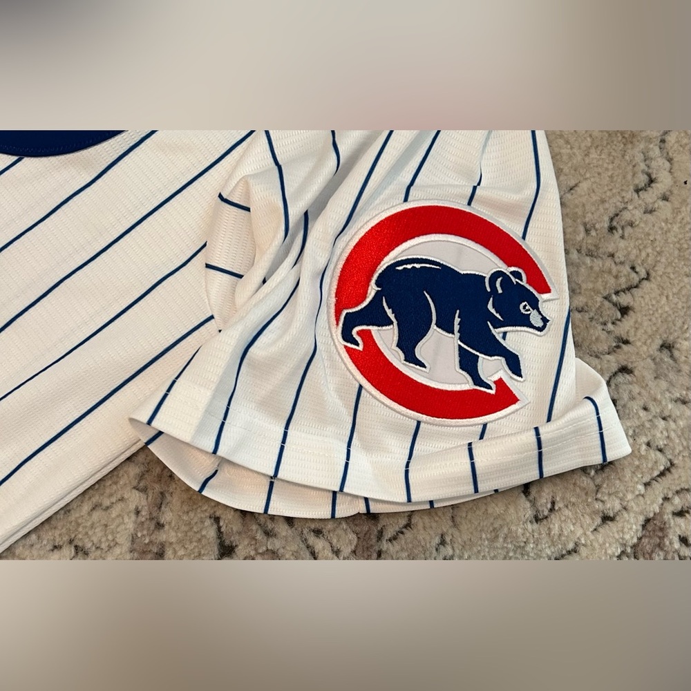 Nike Authentic Chicago Cubs MLB Baseball Pinstripe with Patch Jersey Men’s Sz: L - Picture 4 of 6